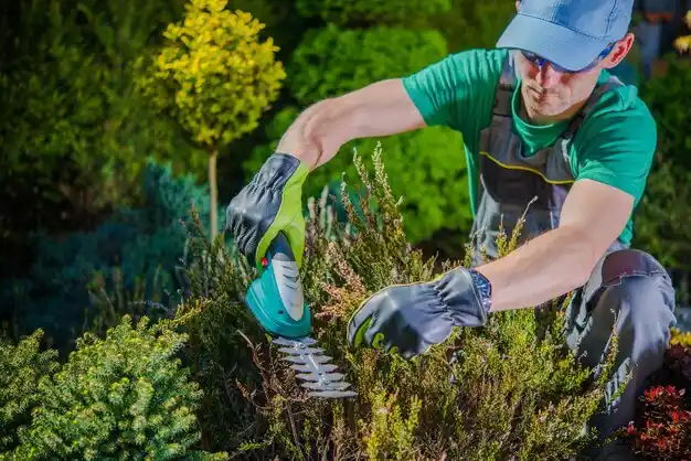 landscaping services Hannibal